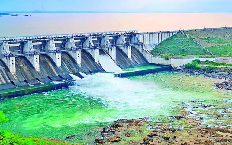 झारखंड के डैमों में घटा जलस्तर, बारिश की कमी से बढ़ी चिंता