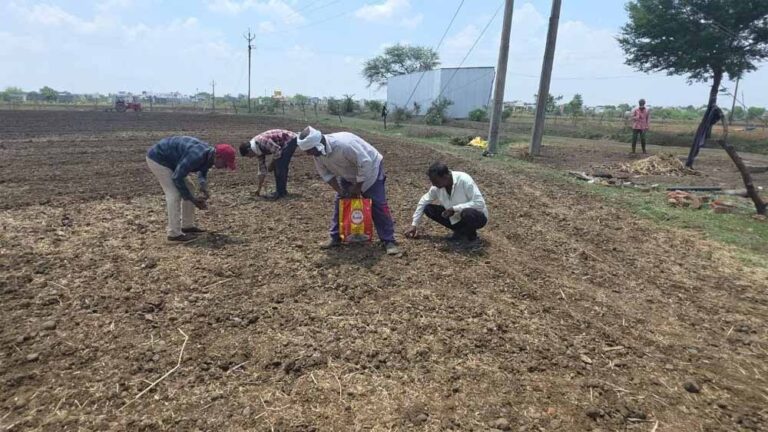 बस्तर संभाग में बारिश की बेरुखी से बढ़ी सूखे की चिंता, किसान परेशान