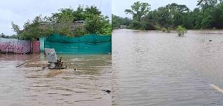 CG में भारी बारिश से हालात बिगड़े, नदी-नाले उफान पर; CM साय ने सभी कलेक्टरों को किया अलर्ट