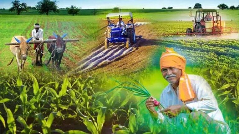 पूर्वी चंपारण में जैविक खेती को बढ़ावा, छह प्रखंडों में बनेंगे 75 किसान समूह
