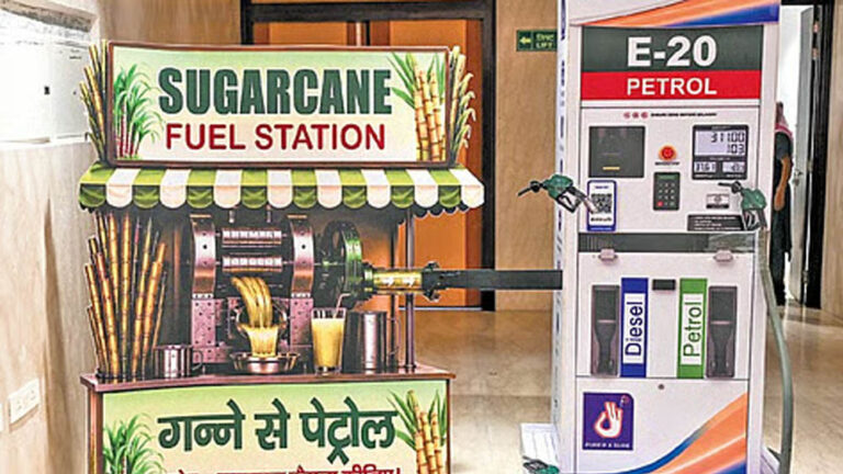 E20 पर बड़ा सवाल: ‘एथेनॉल के चक्कर में खाने के लाले न पड़ जाएं’, सरकार को किसने चेताया?