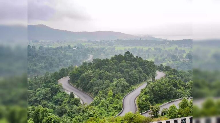 सोहराय कला से सजेगी पीठौरिया-पतरातू घाटी, बारिश के बाद शुरू होगा सौंदर्यीकरण