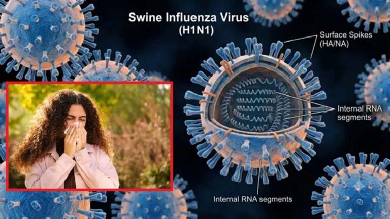 H1N1-H3N2 को लेकर झारखंड अलर्ट, रिम्स-MGM में जांच की सुविधा; अस्पतालों में बढ़ाई गई तैयारी