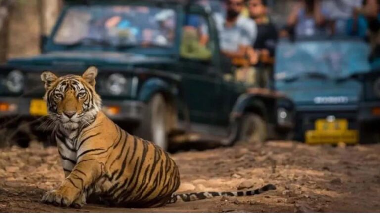 यूपी में वन्यजीव संरक्षण को मिलेगा 100 करोड़ का बजट, मजबूत होगी सुरक्षा व्यवस्था