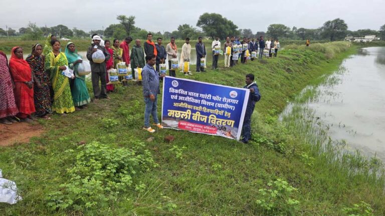 आजीविका डबरी और नवा तरिया से ग्रामीण अर्थव्यवस्था को मिल रहा नया आधार