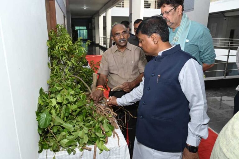 औषधि पौधों की खेती किसानों की आय बढ़ाने का प्रभावी माध्यम: वन मंत्री केदार कश्यप