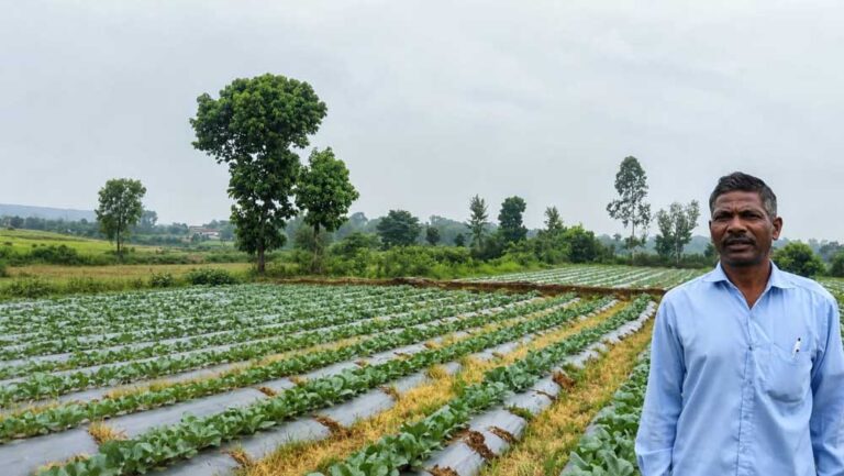 सूक्ष्म सिंचाई योजना से खेती बनी अधिक लाभकारी, ड्रिप सिंचाई अपनाकर किसान ने बढ़ाया सब्जी उत्पादन