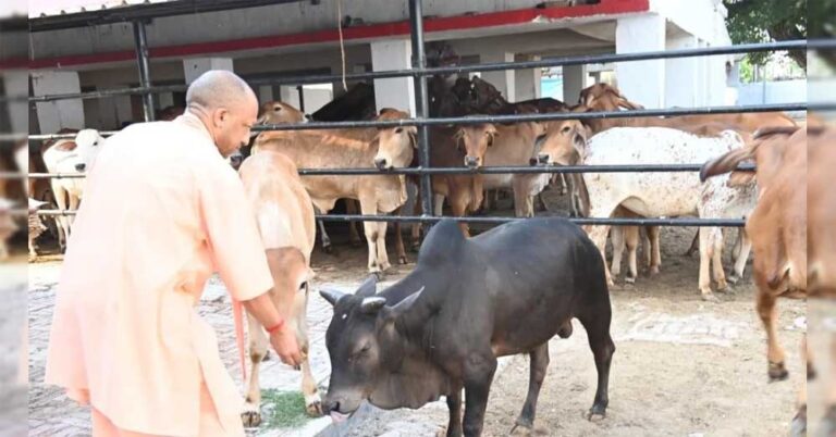 सीएम योगी की गोसंरक्षण नीति का असर : करोड़ों कमा रहे युवा, बढ़ रहा रोजगार