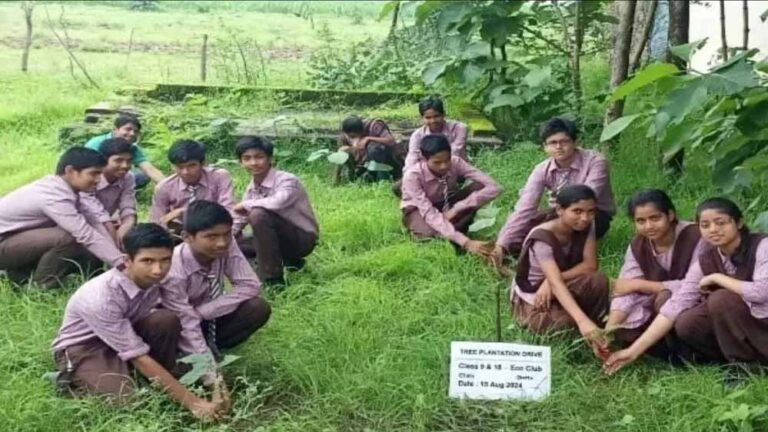यूपी के 49 पीएमश्री स्कूलों को मिलेंगे ₹20-20 हजार, पढ़ाई के साथ बागवानी सीखेंगे बच्चे