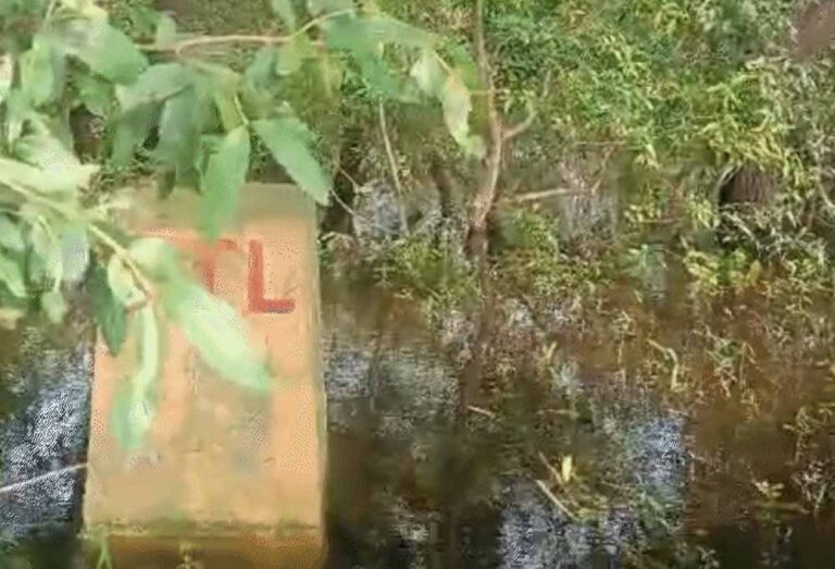 भोपाल के बड़ा तालाब-कलियासोत किनारे कब्जों पर NGT में आज सुनवाई, सर्वे रिपोर्ट होगी पेश