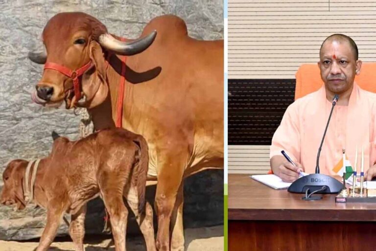 योगी सरकार ने लंपी वायरस की रोकथाम के लिए 25 जनपदों में 606 टीमें कीं तैनात