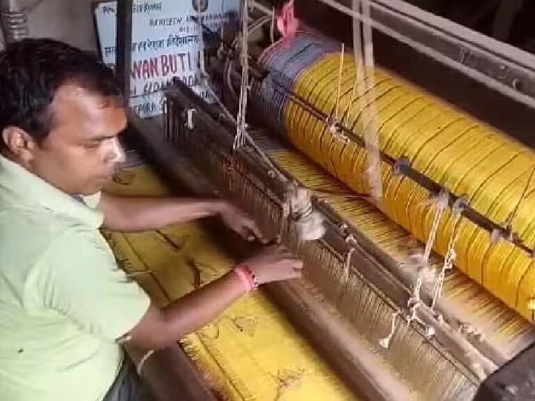 बाढ़ से भागलपुर की आर्थिक रीढ़ टूटी, तसर सिल्क-कतरनी-जर्दालू पर मंडराया संकट