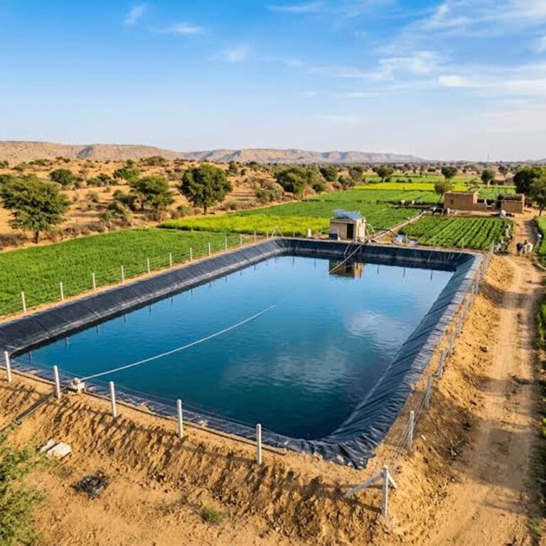 बिहार में चौर भूमि से बढ़ेगी किसानों की आय, समेकित चौर विकास योजना में आवेदन शुरू