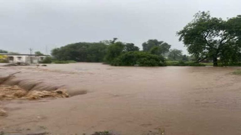 MP-छत्तीसगढ़ का संपर्क टूटा, शहडोल में बारिश बनी आफत; बाणसागर के 8 गेट खुले