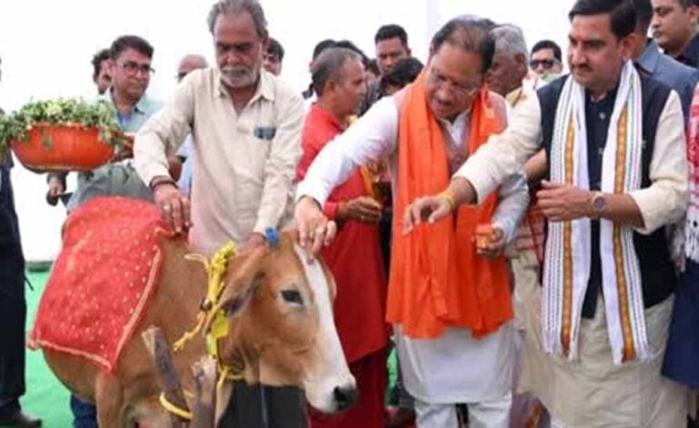CG में पोला पर्व की धूम, CM विष्णुदेव साय कार्यक्रमों में होंगे शामिल