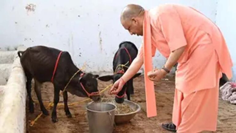 गोशालाओं को अब संरक्षण के साथ बनाया जाएगा आत्मनिर्भरता का मॉडल