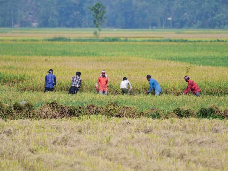 एग्री विस्टा–2026 में कृषि नवाचार और उद्यमिता पर जोर