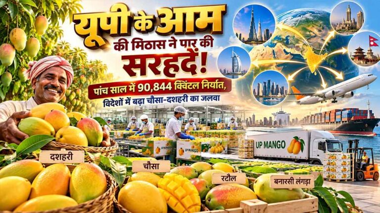 सात समंदर पार पहुंची यूपी के आम की मिठास, पांच साल में 90 हजार क्विंटल निर्यात
