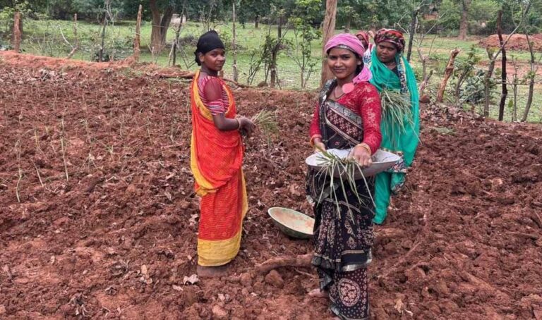 लेमन ग्रास की खुशबू से महक रही आत्मनिर्भरता, जीपीएम की महिलाएं बढ़ रहीं ‘लखपति दीदी’ बनने की राह पर