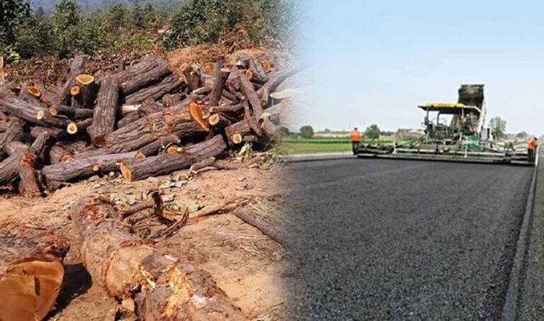भोपाल मास्टर प्लान 2047 पर पर्यावरण की चिंता, 791 किमी सड़क नेटवर्क के लिए 2.89 लाख पेड़ों पर खतरा