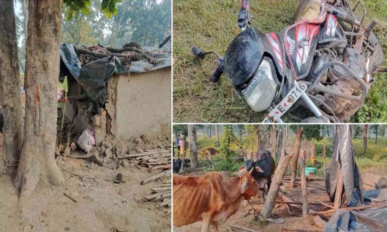 CG में हाथियों का तांडव, सुबह 3 बजे गांव में घुसे झुंड ने मवेशियों को कुचला