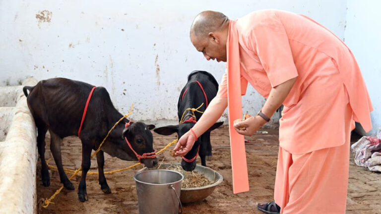 प्रदेश के सभी 75 जिलों में खुलेंगे पंचगव्य के आउटलेट, गोमूत्र और गोबर से तैयार होंगे उत्पाद